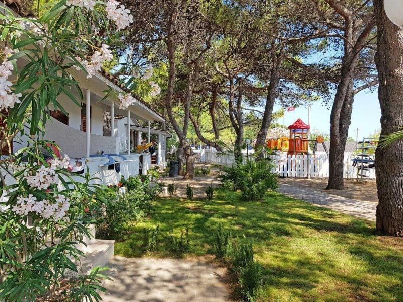 Gabbiano 4*